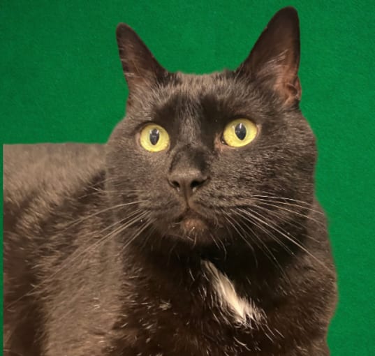 Photo of Jack