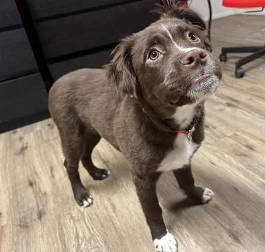 Photo of Cash