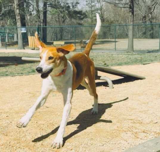 Photo of Benny