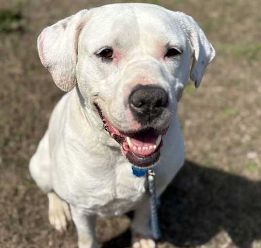 Photo of 2503-0843 Ghost