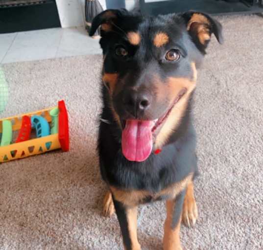 Photo of Bingo