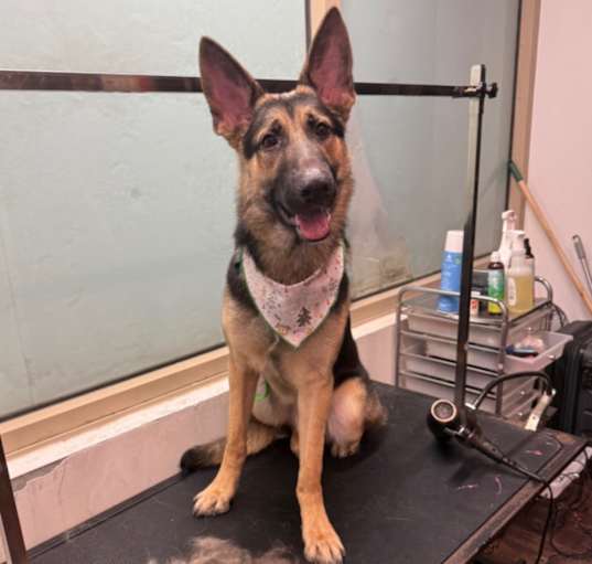Photo of Zeus