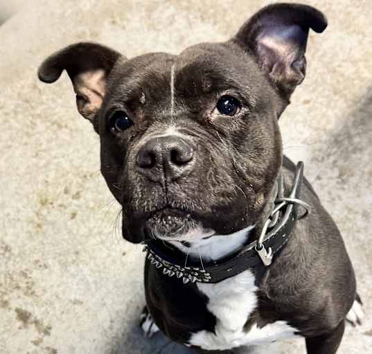 Photo of Brenda
