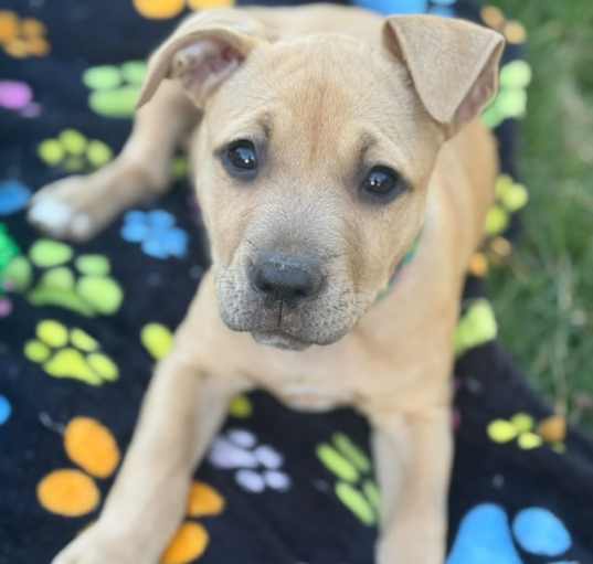 Photo of Azula
