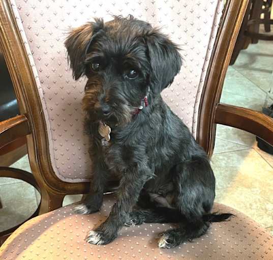 Photo of Gloria