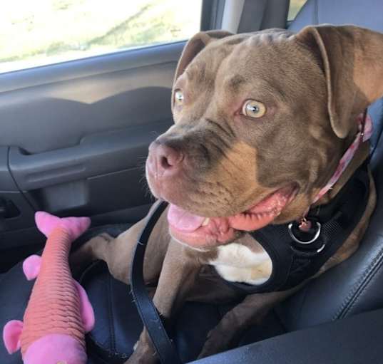 Photo of Penny