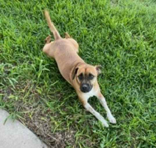 Photo of Murphy