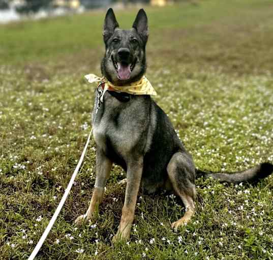 Photo of Sasha