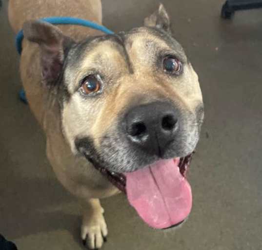 Photo of ROXIE