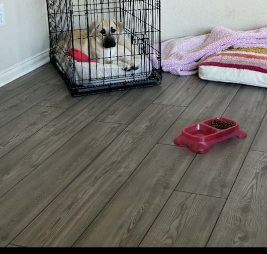 Photo of Nyla