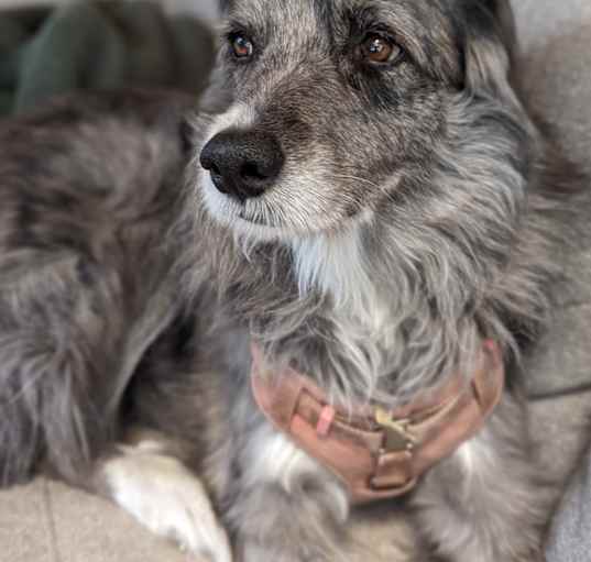 Photo of Winnie