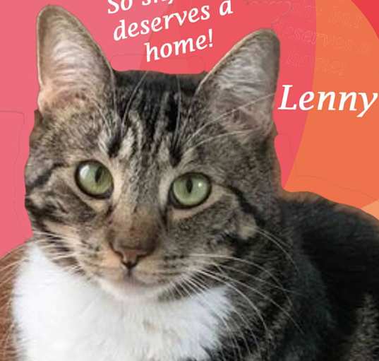 Photo of Lucky LENNY!