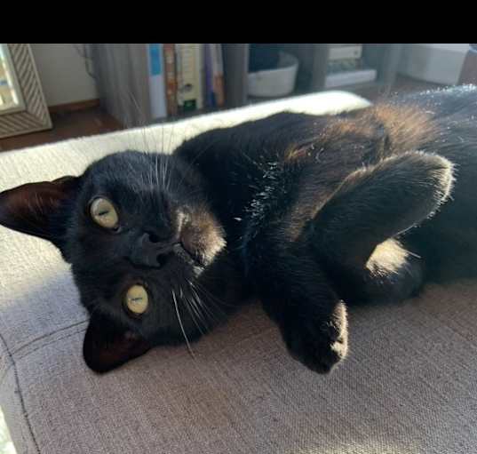 Photo of Kimchi