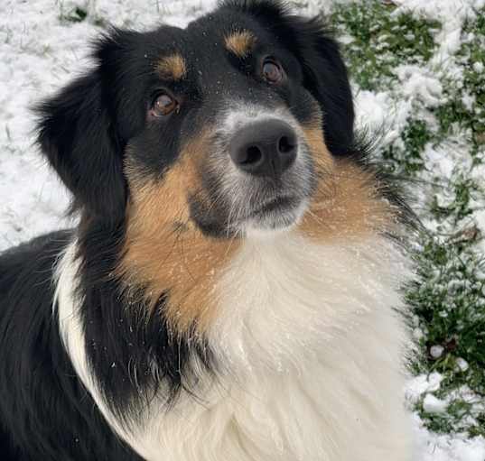 Photo of Atlas
