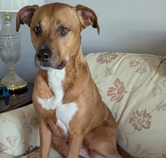 Photo of Spike