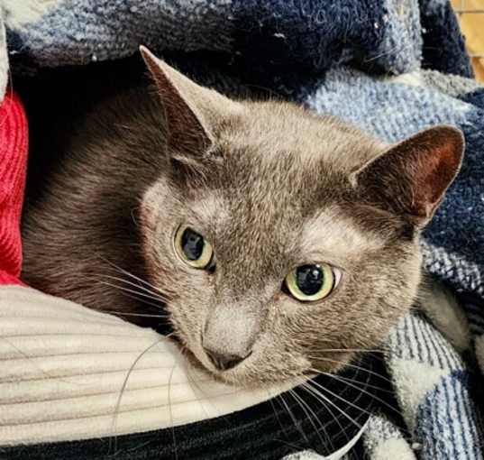 Photo of Kiki