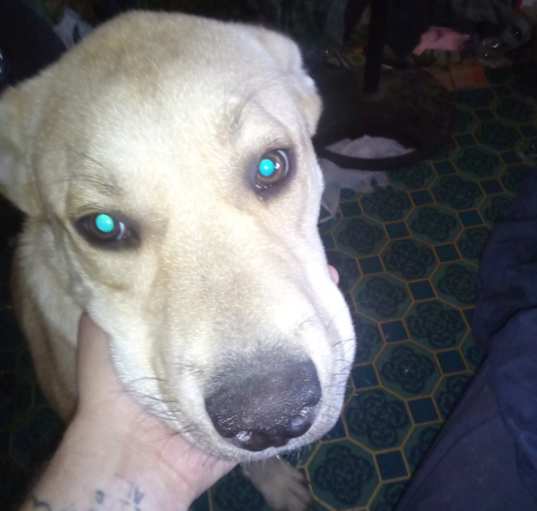 Photo of Kenlie