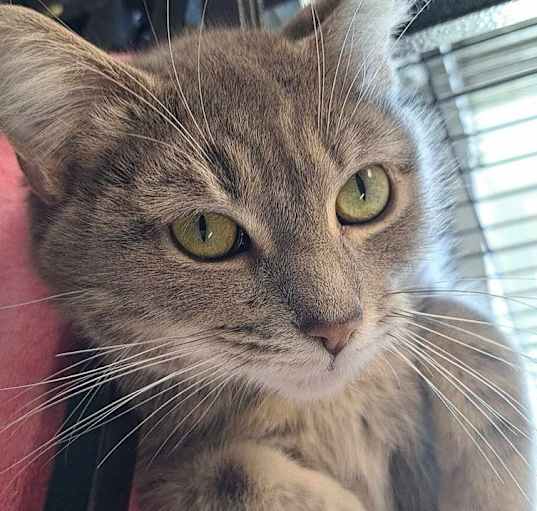 Photo of Rhea