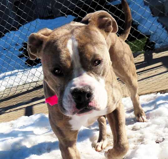 Photo of Roxy