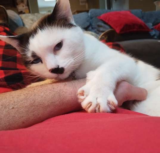 Photo of Charlie