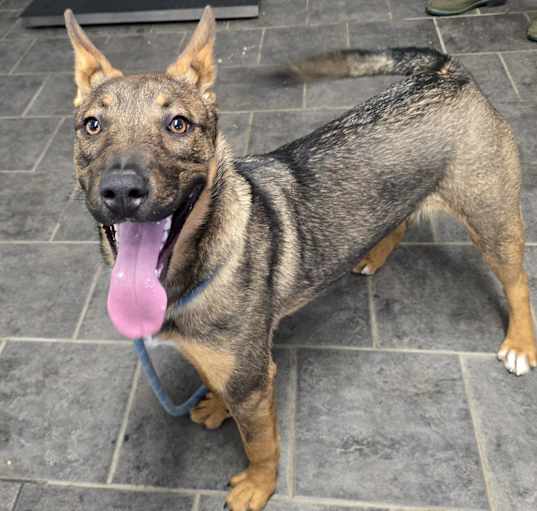 Photo of Kaia