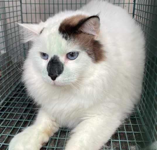 Photo of Joaquin