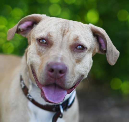Photo of MAGGIE