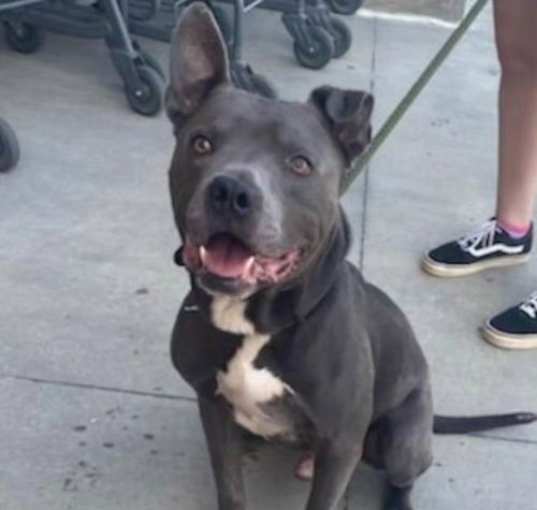 Photo of Astro