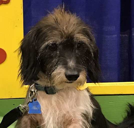 Photo of Gavin