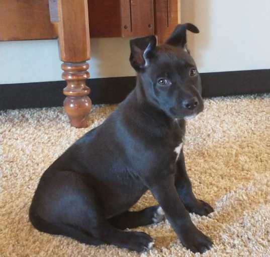Photo of Winnie