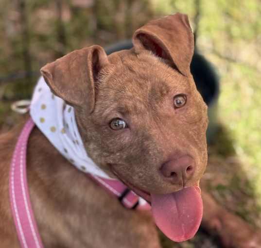Photo of Zara
