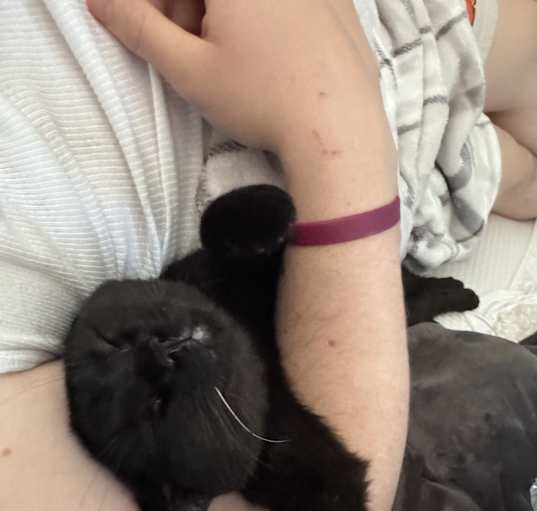 Photo of Pepper