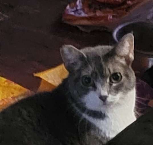 Photo of Kinzy