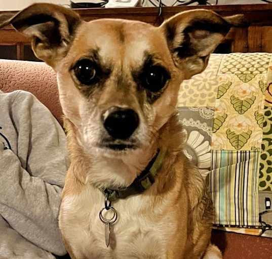 Photo of Sammy