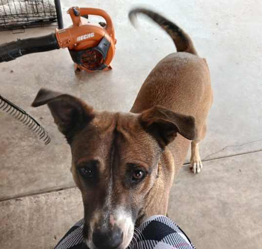 Photo of Coco