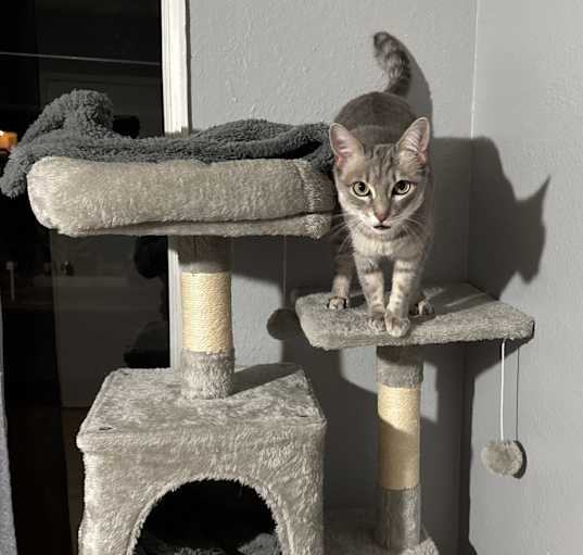 Photo of Ashes