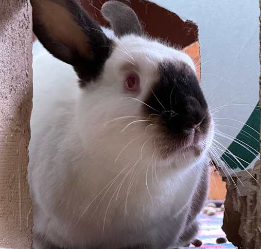 Photo of Mildred