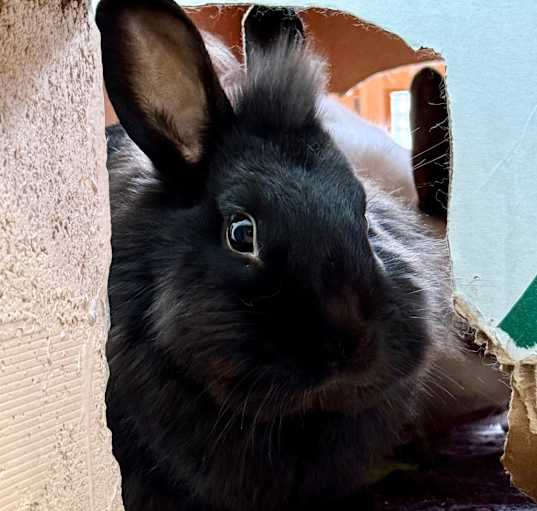 Photo of Bernice