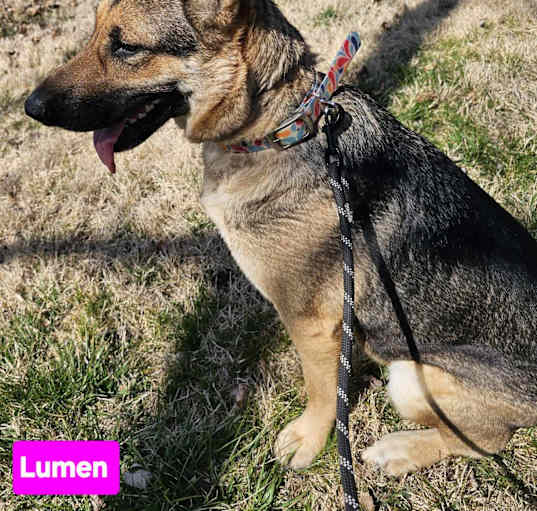 Photo of Lumen