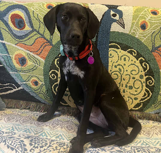 Photo of Ellie