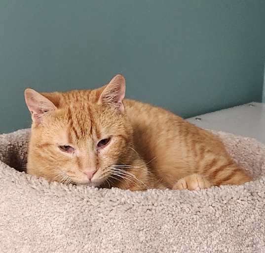 Photo of Fuzzy