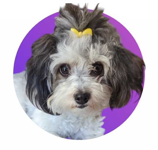 Photo of Carly