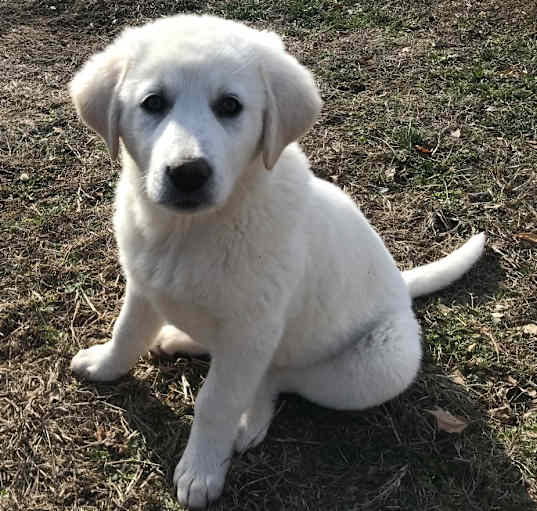 Photo of Clemmy