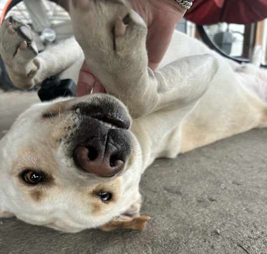 Photo of Zeus