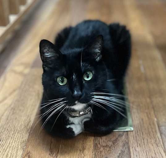 Photo of Esther