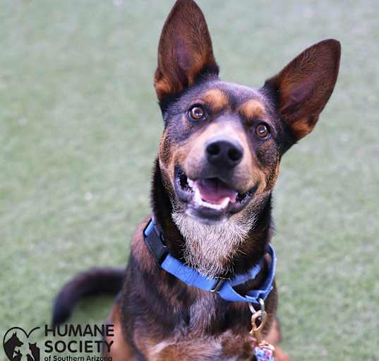 Photo of MR. BOJANGLES