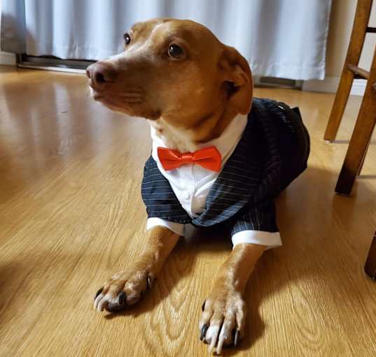Photo of Winston
