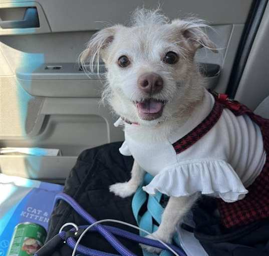 Photo of Bella