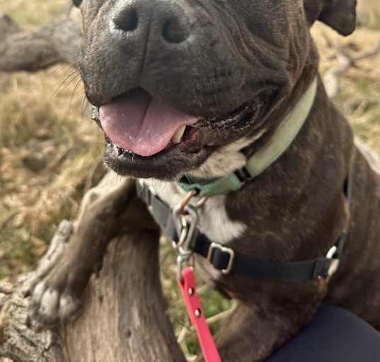 Photo of TITI