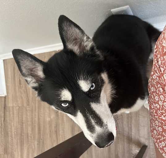 Photo of max